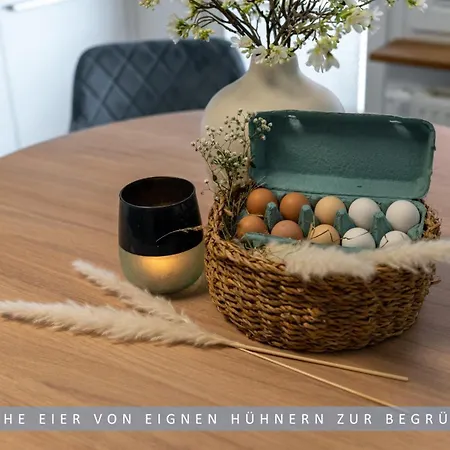 Apartamento Leinetal - Bester Schlafkomfort In Hochwertiger Hotelbettwaesche, 3 - Grosse Kueche, Duschbad & Parkplatz